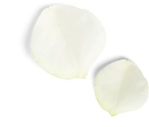 petalos blancos