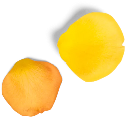 petalos amarillos